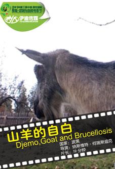 Djemo, Goat
 and Brucellosis.jpg